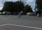 2013-09-01 rollers rochefort (440)